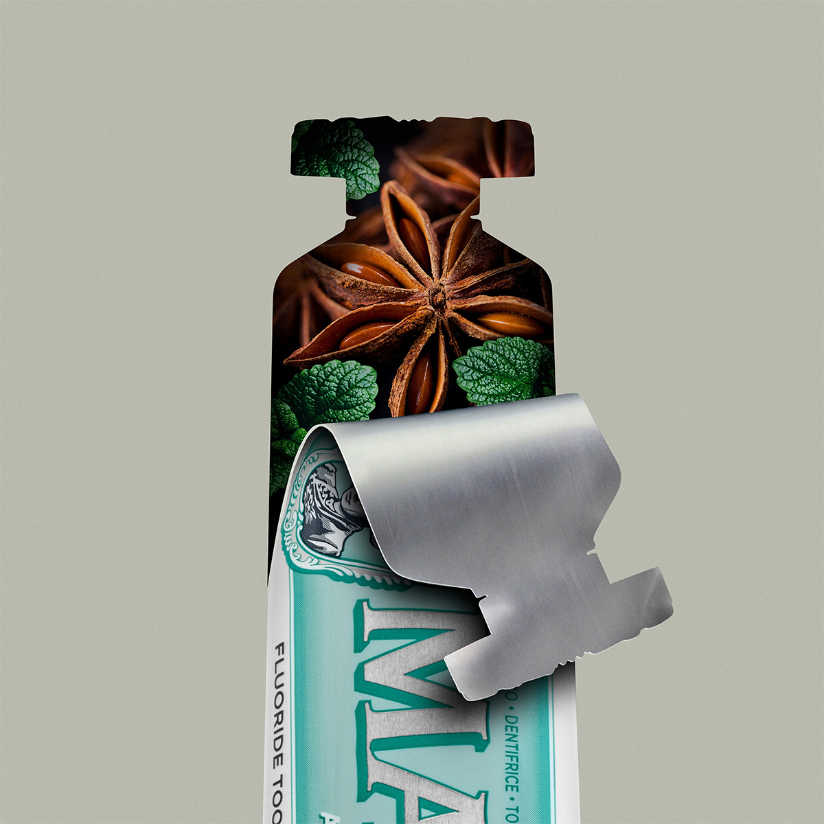 Toothpaste Anise Mint