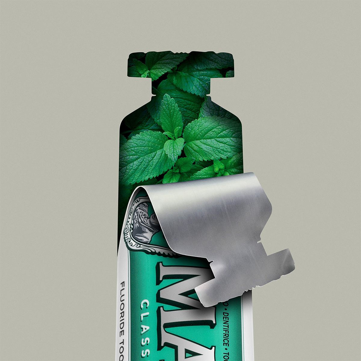 Toothpaste Classic Strong Mint
