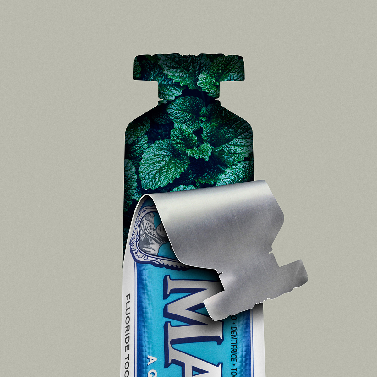 Toothpaste Acquatic Mint